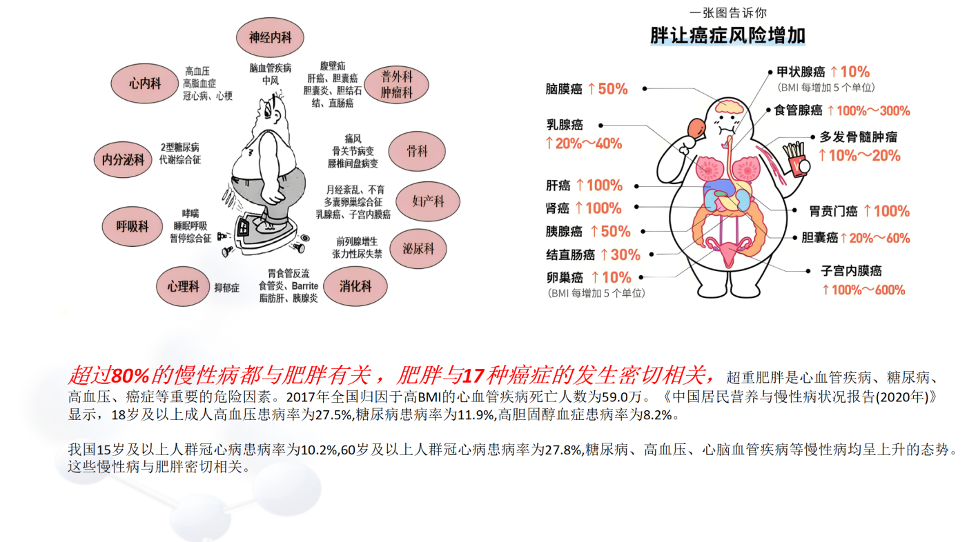 体重管理项目背景